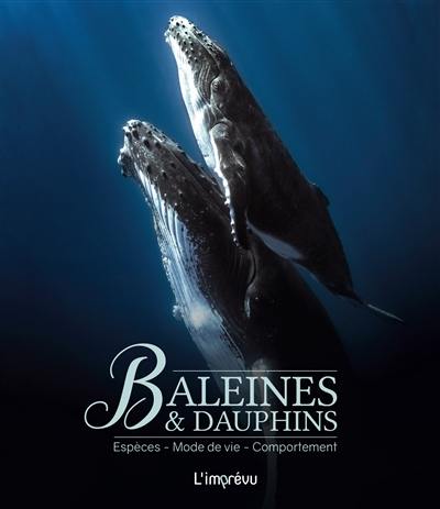 Baleines & dauphins : espèces, mode de vie, comportement