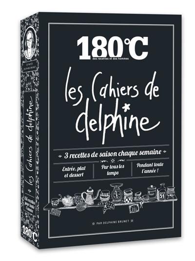 Les cahiers de Delphine