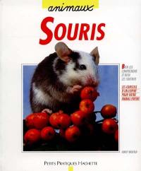 Souris