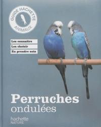 Perruches ondulées