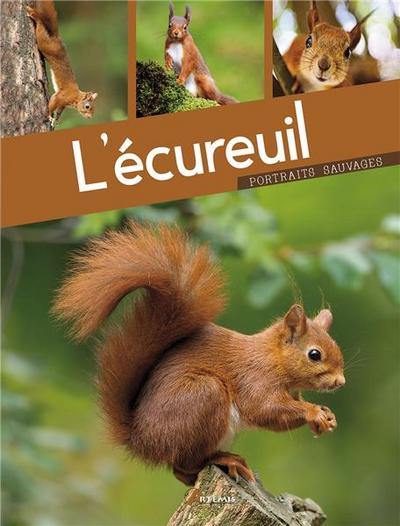 L'écureuil