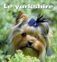 Le yorkshire