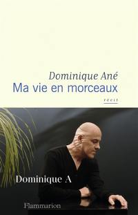 Ma vie en morceaux : récit