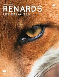 Renards : les mal-aimés