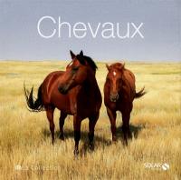 Chevaux