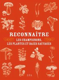 Reconnaître les champignons, les plantes et baies sauvages