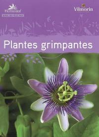 Plantes grimpantes