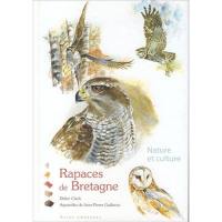 Rapaces de Bretagne : nature et culture