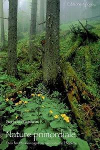 Nature primordiale : des forêts sauvages au secours de l'homme