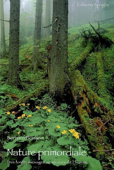 Nature primordiale : des forêts sauvages au secours de l'homme