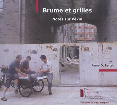 Brume et grilles : notes sur Pékin