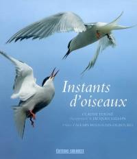 Instants d'oiseaux