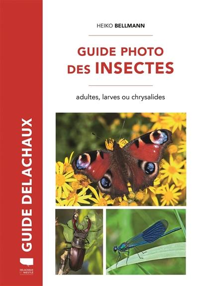 Guide photo des insectes : adultes, larves ou chrysalides