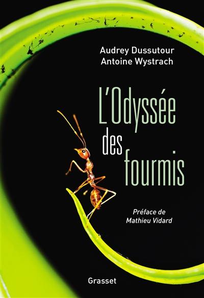 L'odyssée des fourmis