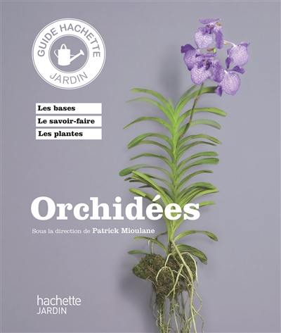 Orchidées