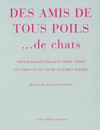 Des amis de tous poils... de chats