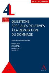 Questions spéciales relatives à la réparation du dommage