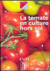 La tomate en culture hors sol