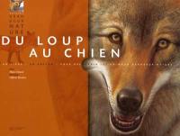 Du loup au chien