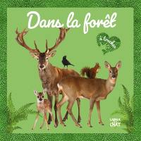 Dans la forêt : à toucher