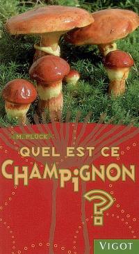 Quel est ce champignon ?