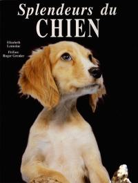 Splendeurs du chien