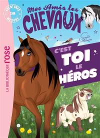 Mes amis les chevaux : c'est toi le héros