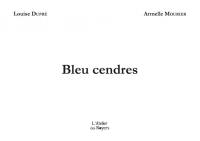 Bleu cendres