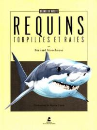 Les requins, les torpilles et les raies