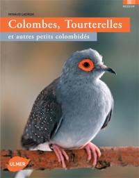 Colombes, tourterelles et autres petites colombidés