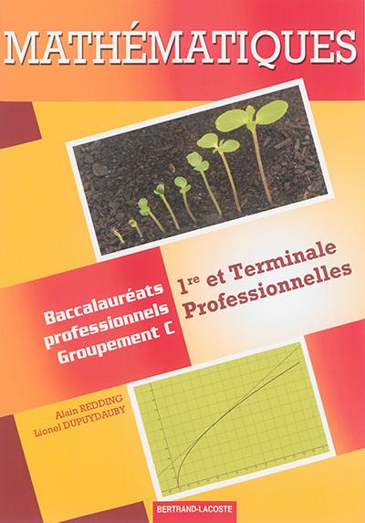 Mathématiques, 1re et terminale professionnelles : baccalauréats professionnels, groupement C