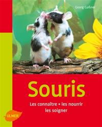 Souris : les connaître, les nourrir, les soigner