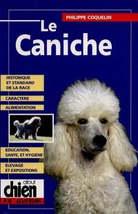 Le caniche : historique, caractère