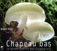 Chapeau bas ! : le monde insolite des champignons