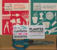 Plantes aromatiques : de la cueillette à l'assiette