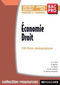 Economie - droit bac pro