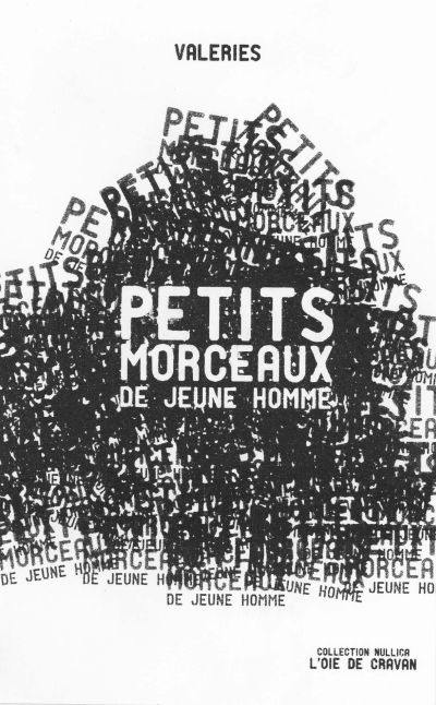 Petits morceaux de jeune homme