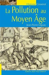 La pollution au Moyen Age : dans le royaume de France et dans les grands fiefs