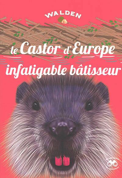 Le castor d'Europe : infatigable bâtisseur