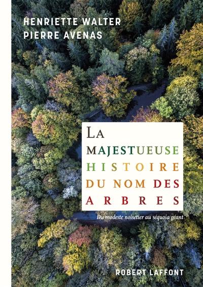 La majestueuse histoire du nom des arbres : du modeste noisetier au séquoia géant