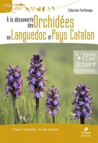 A la découverte des orchidées en Languedoc et Pays catalan