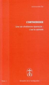 Une vie chrétienne épanouie : c'est la sainteté