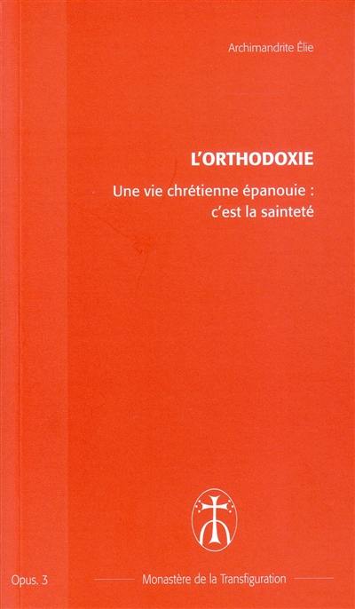 Une vie chrétienne épanouie : c'est la sainteté