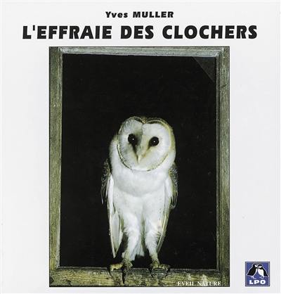 L'effraie des clochers