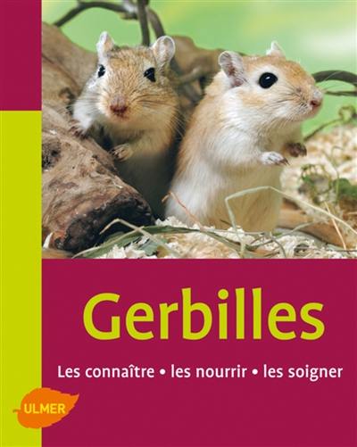 Gerbilles : les connaître, les nourrir, les soigner Gerbilles : les connaître, les nourrir, les soigner