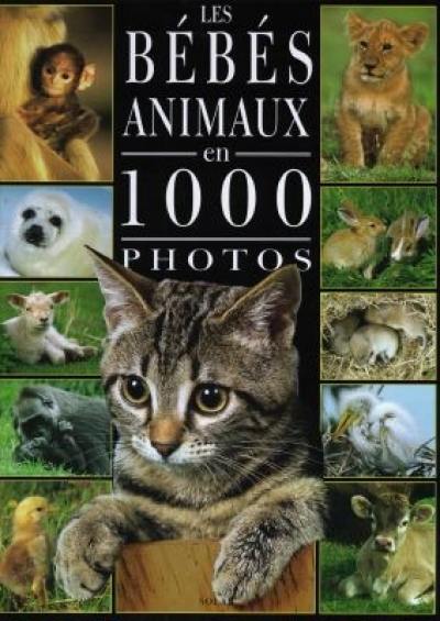 Les bébés animaux en 1000 photos