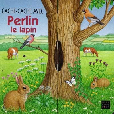 Cache-cache avec Perlin le lapin