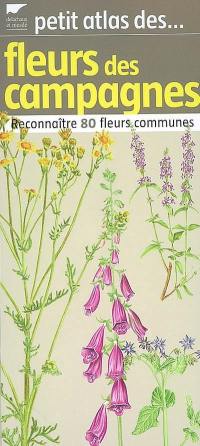 Petit atlas des fleurs des campagnes : reconnaître 80 fleurs communes