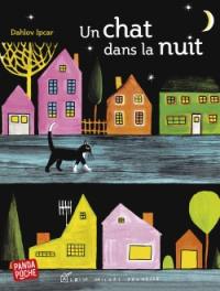 Un chat dans la nuit