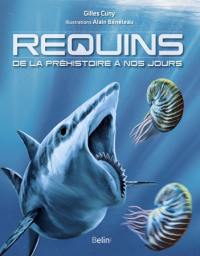 Requins : de la préhistoire à nos jours